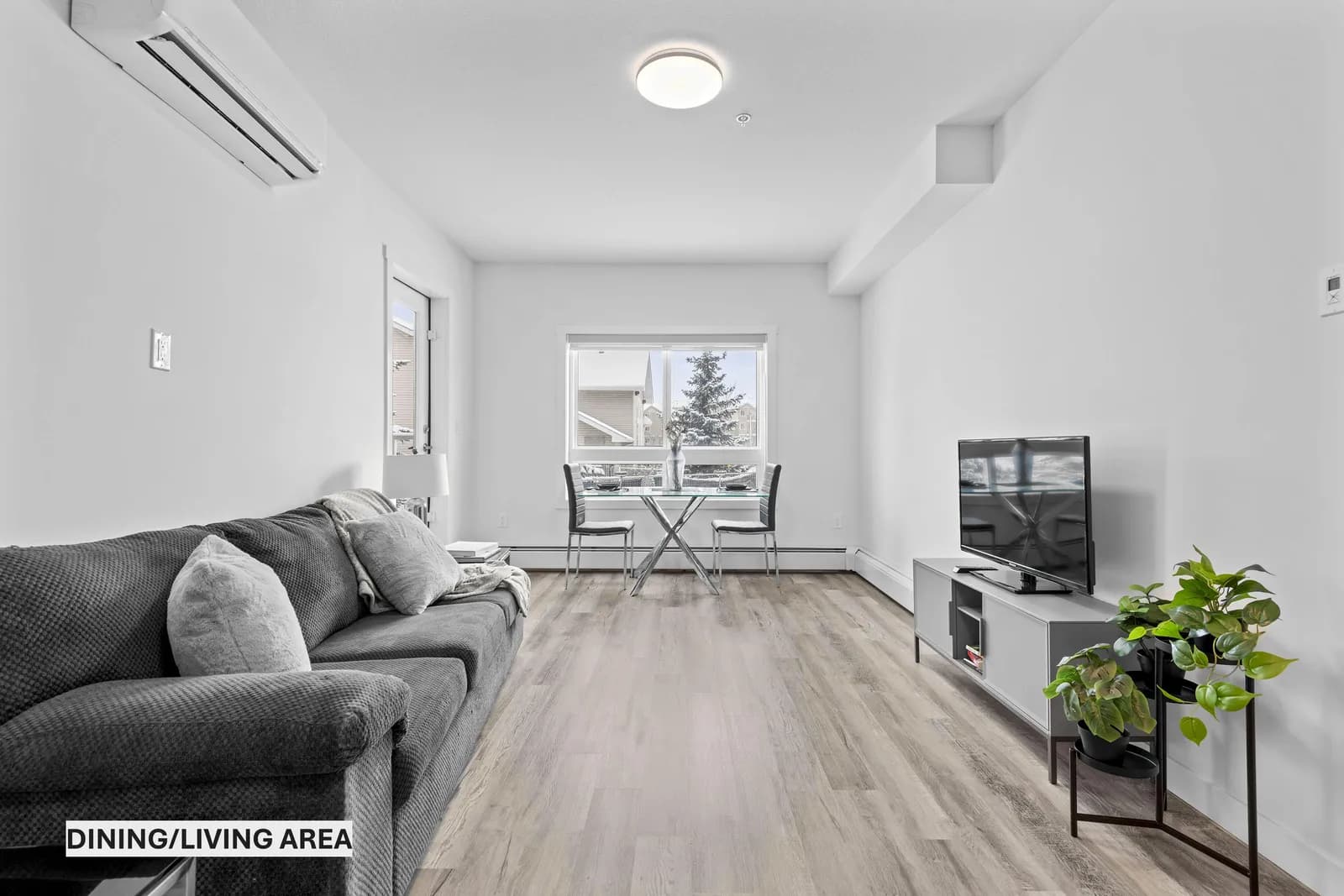 2 Bed + 2 Bath Apartment
