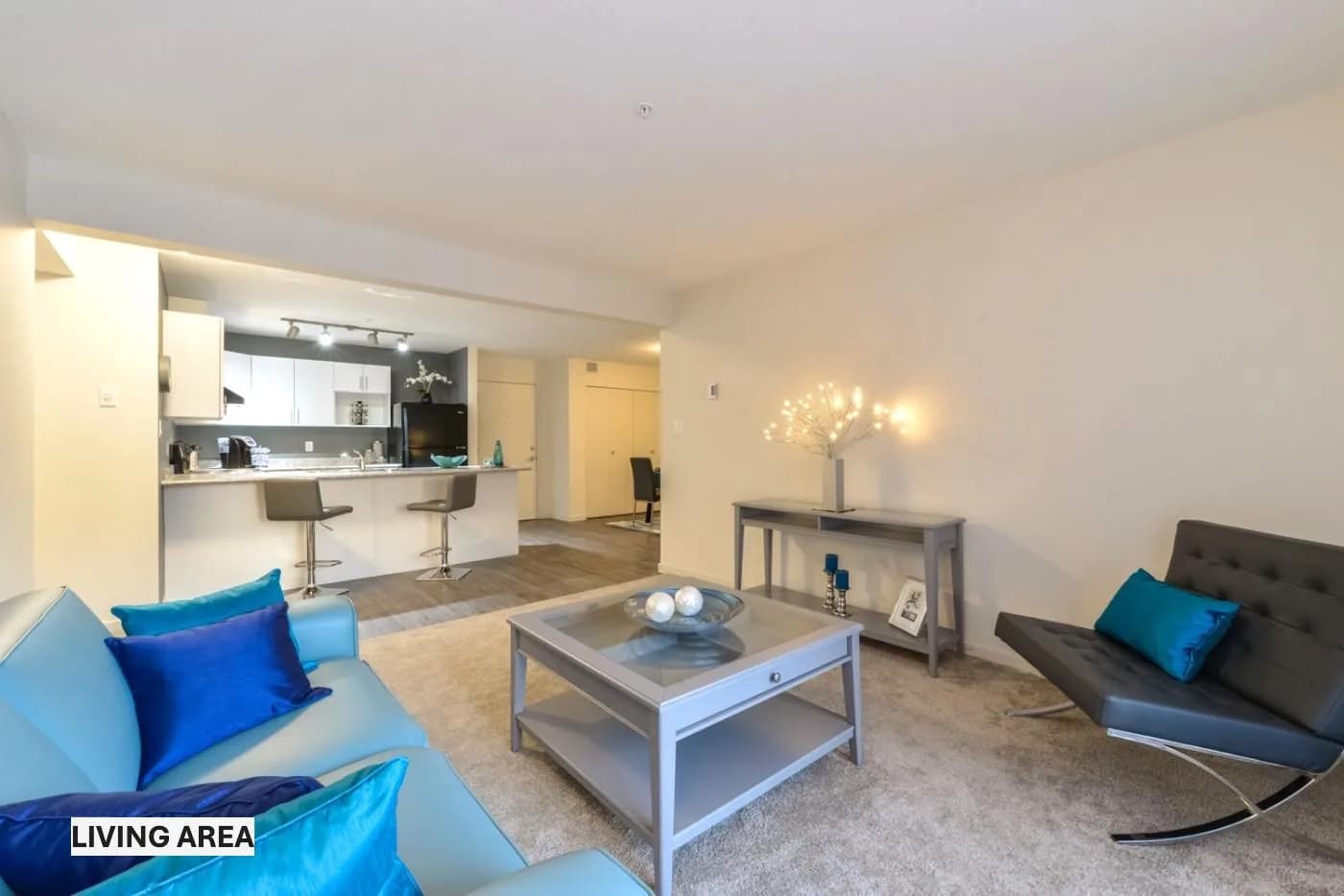 2 Bed + 1 Bath Apartment
